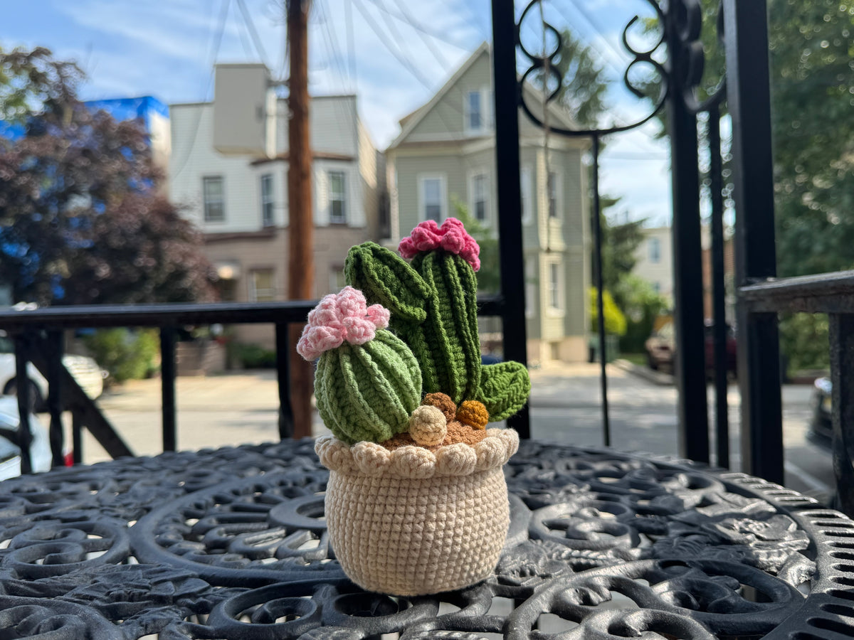 Handmade Crochet Cactus Pot