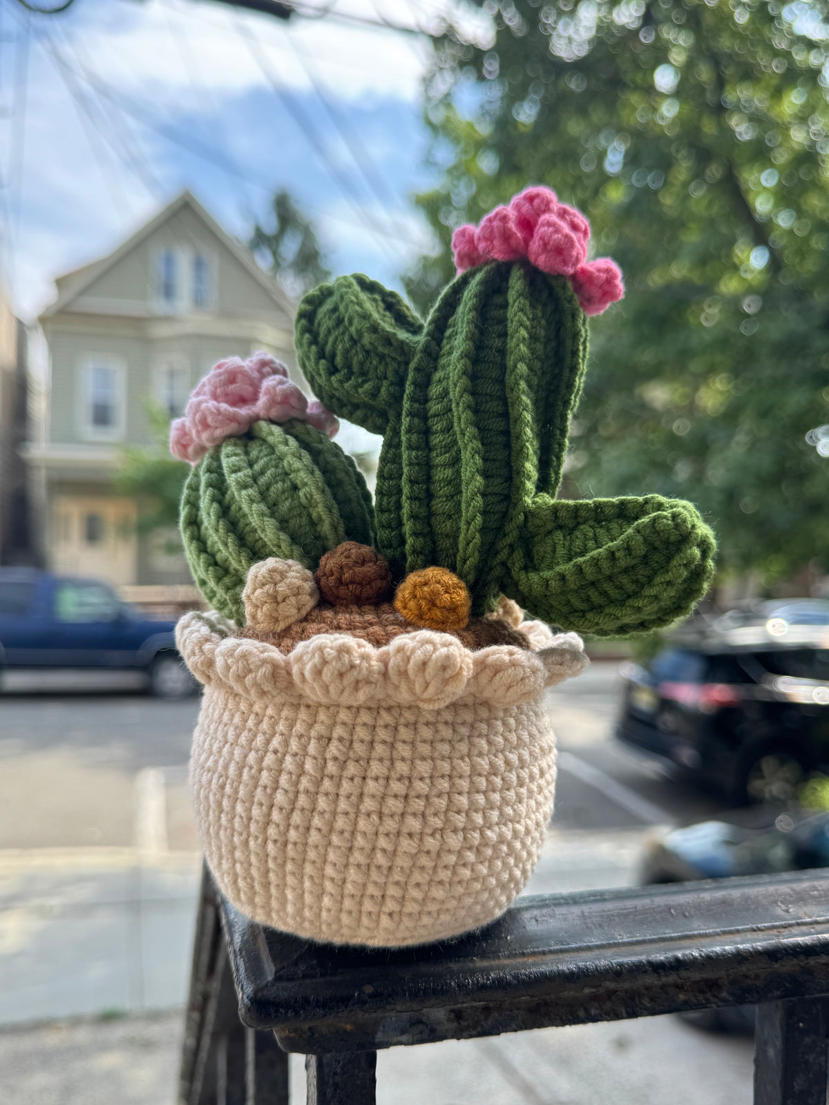 Handmade Crochet Cactus Pot