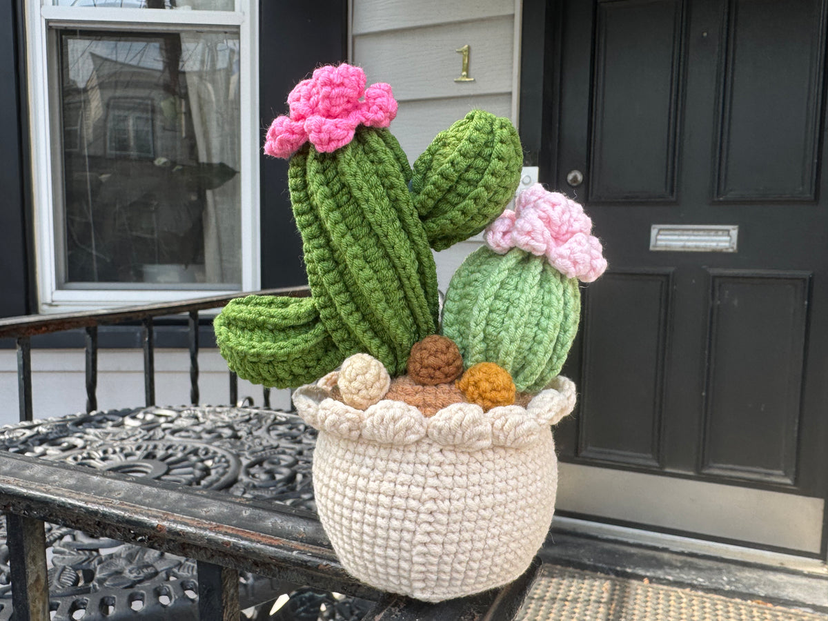 Handmade Crochet Cactus Pot
