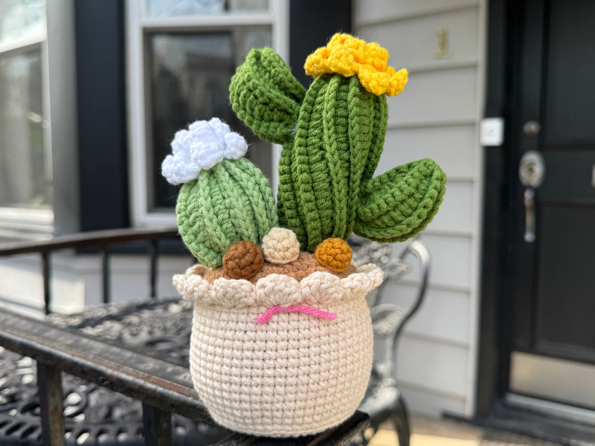 Handmade Crochet Cactus Pot