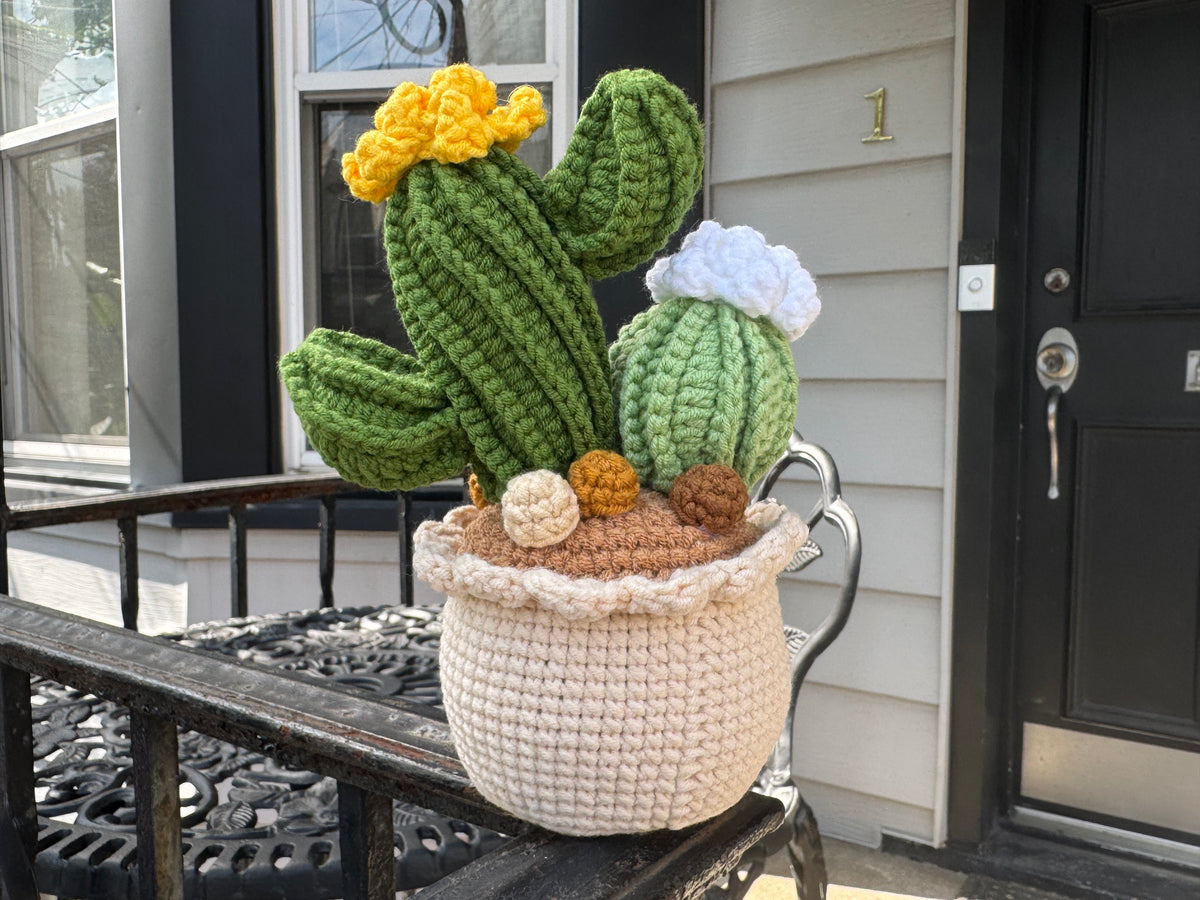 Handmade Crochet Cactus Pot
