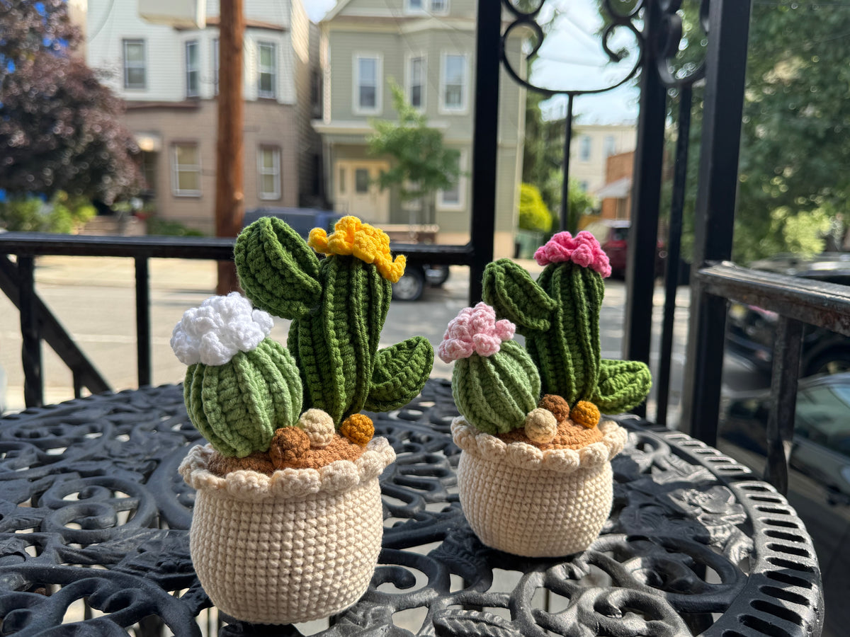 Handmade Crochet Cactus Pot