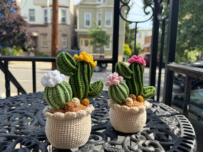 Handmade Crochet Cactus Pot