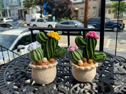 Handmade Crochet Cactus Pot