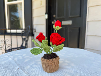 Mini Crochet rose pot