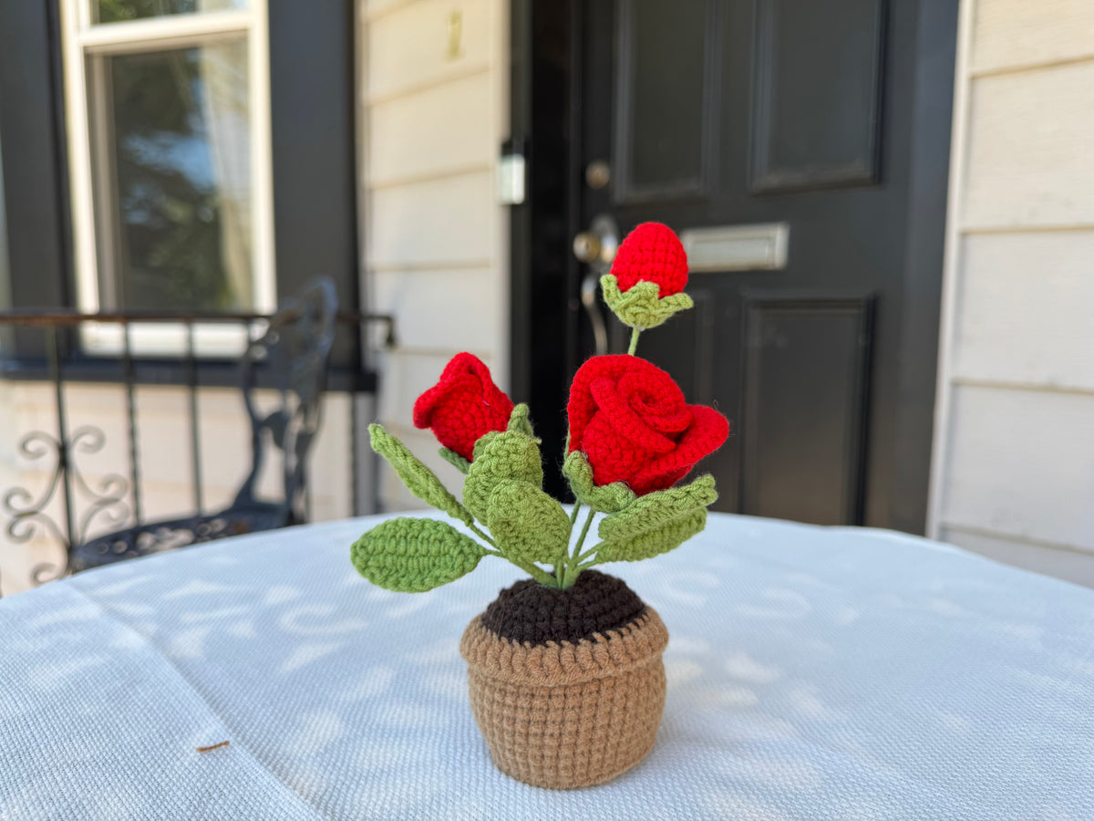 Mini Crochet rose pot