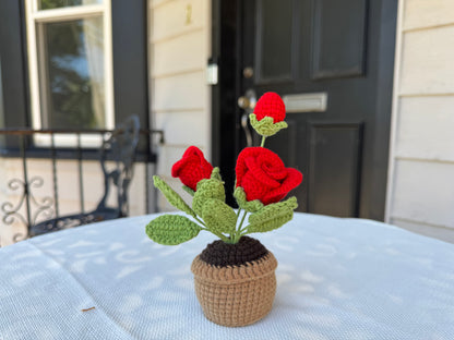 Mini Crochet rose pot