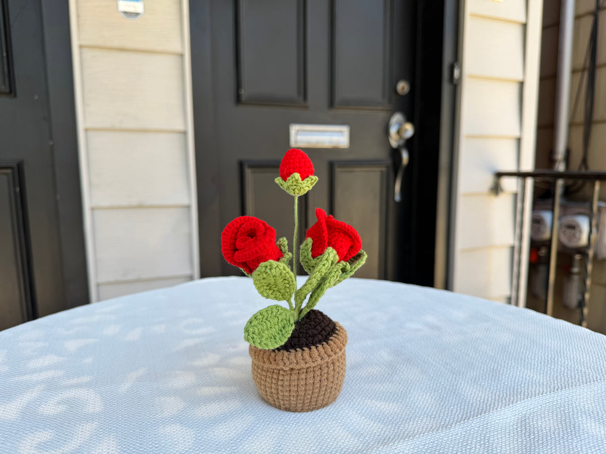 Mini Crochet rose pot