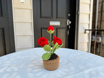 Mini Crochet rose pot