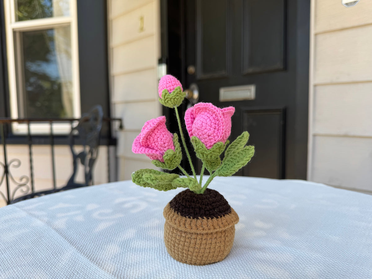 Mini Crochet rose pot