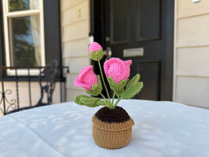 Mini Crochet rose pot