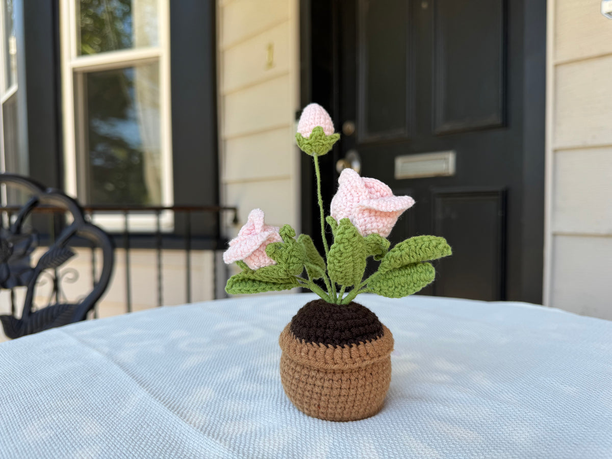 Mini Crochet rose pot