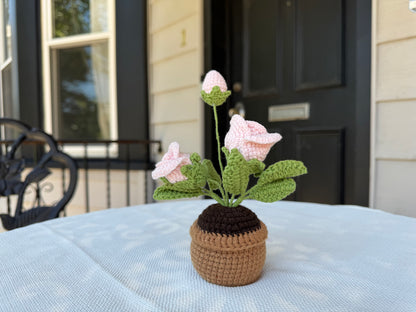 Mini Crochet rose pot