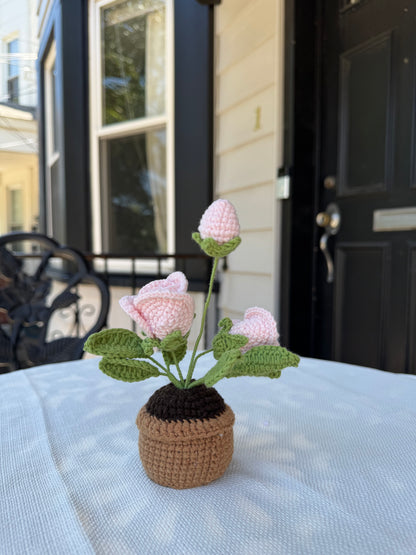 Mini Crochet rose pot