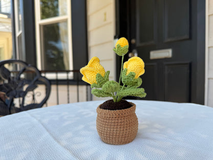 Mini Crochet rose pot