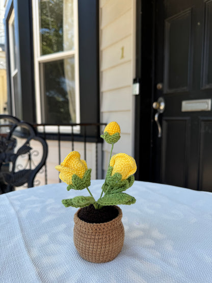 Mini Crochet rose pot