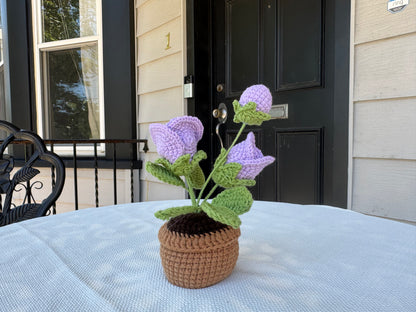 Mini Crochet rose pot