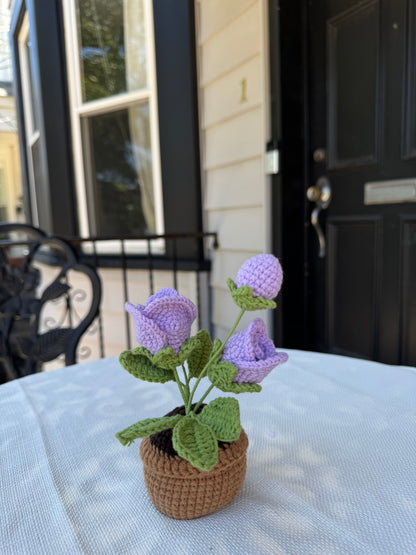 Mini Crochet rose pot