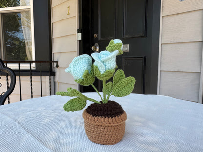 Mini Crochet rose pot