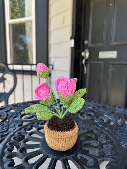 Mini Crochet rose pot