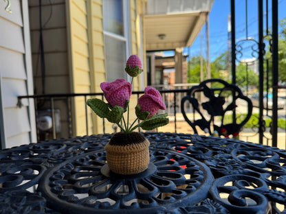 Mini Crochet rose pot