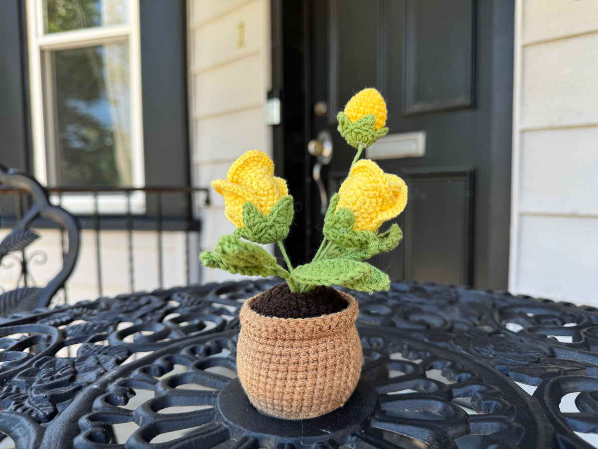 Mini Crochet rose pot