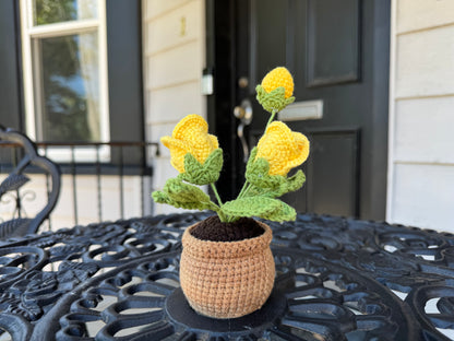Mini Crochet rose pot