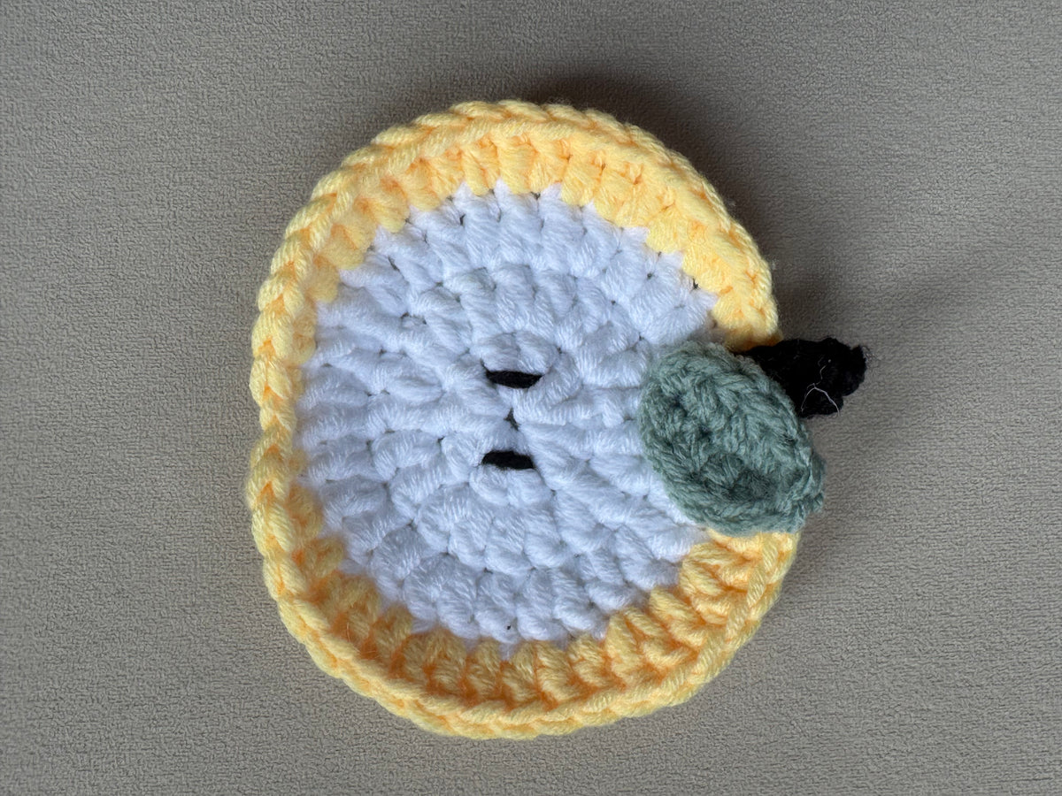 Apple Slice Crochet Coaster