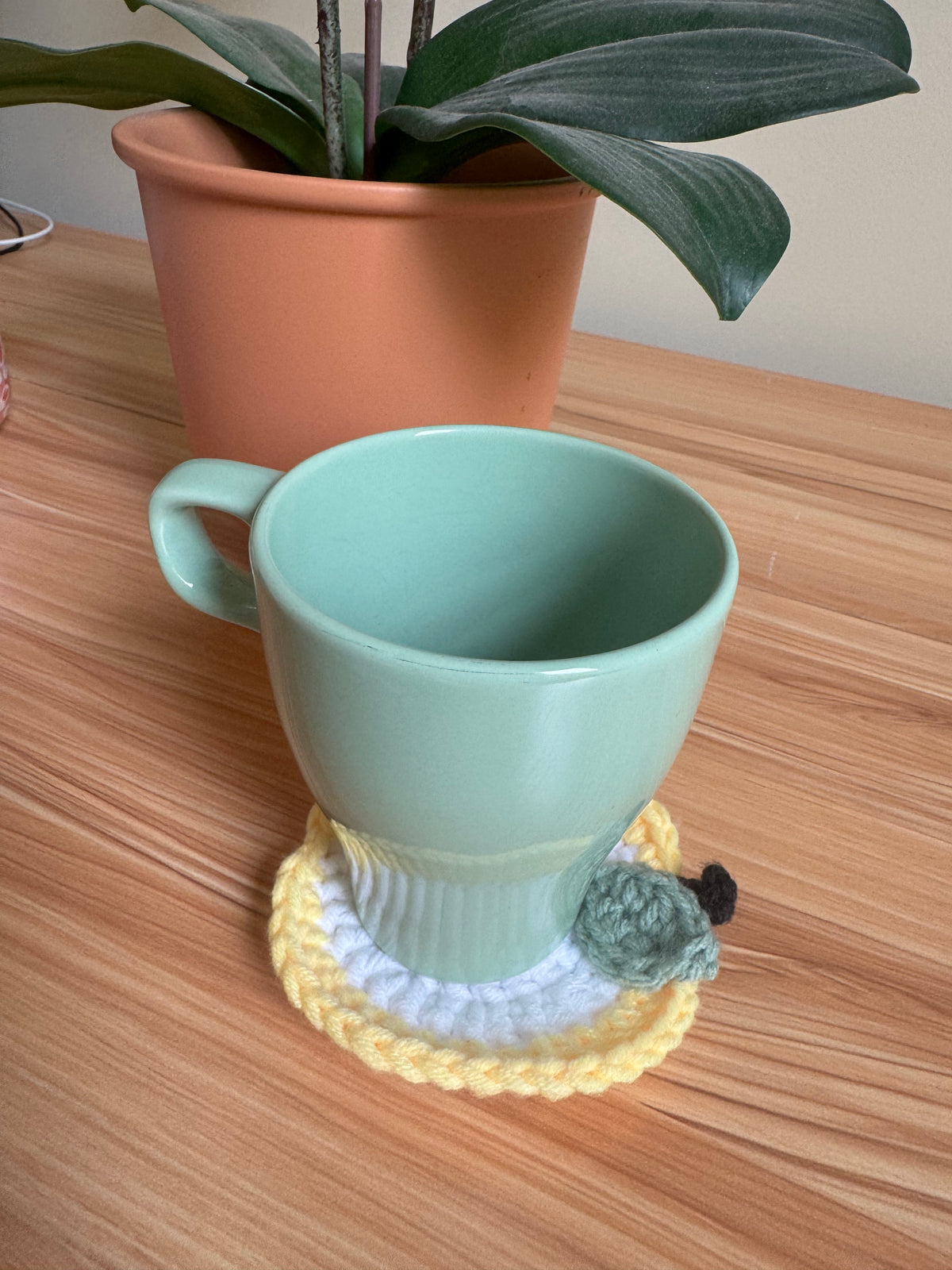 Apple Slice Crochet Coaster