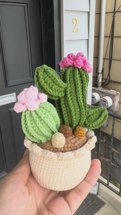 Handmade Crochet Cactus Pot